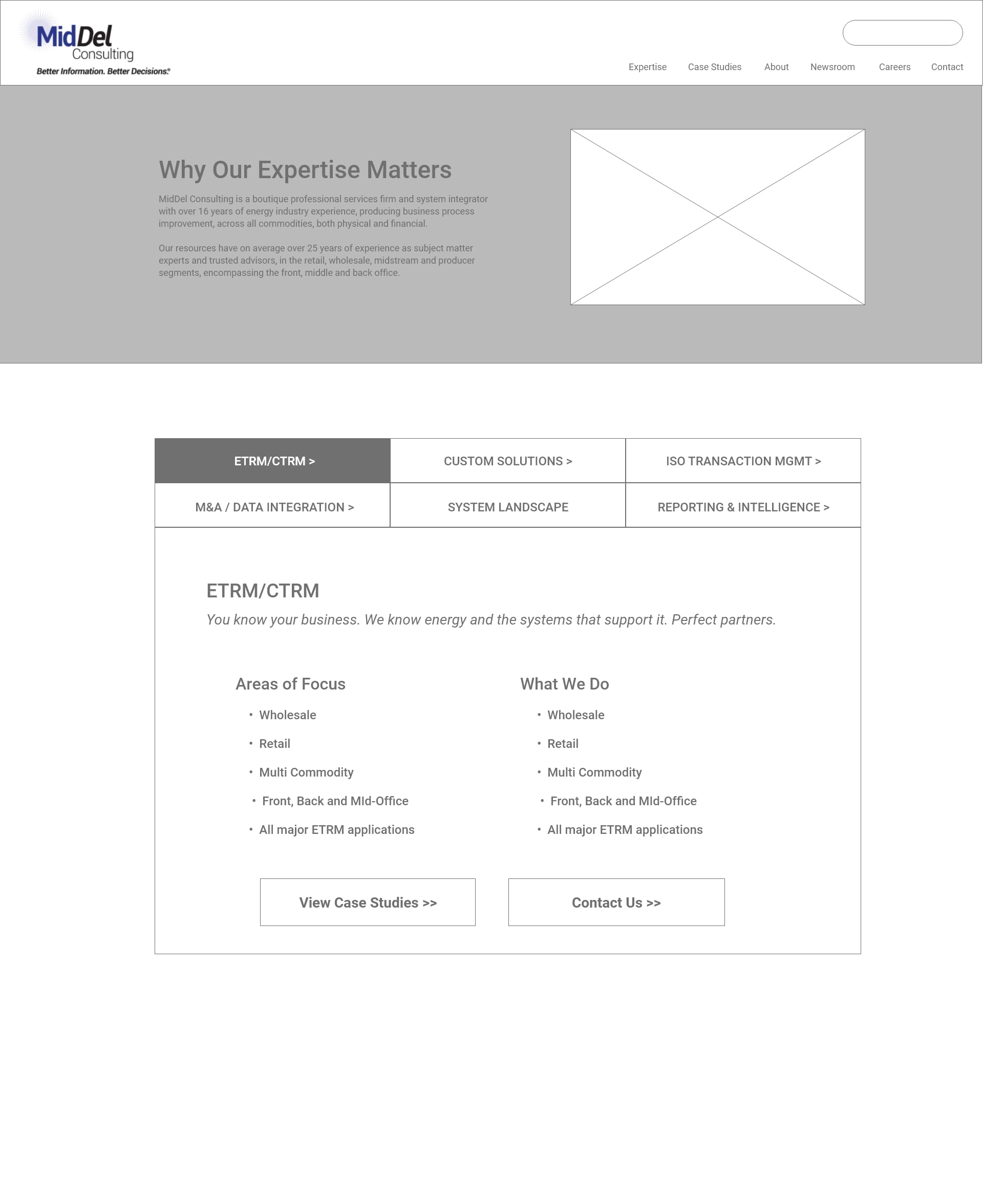 Expertise page low fidelity wireframe